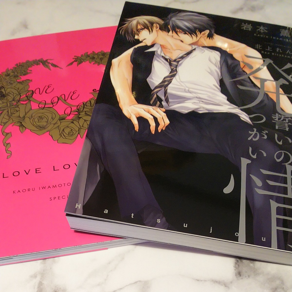 初回限定特装版『発情 誓いのつがい』岩本薫20周年記念本付き bl 