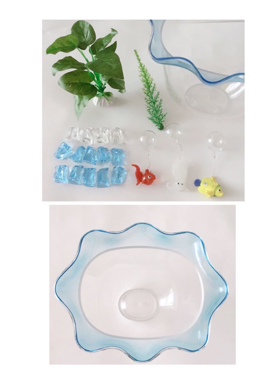 水槽 浮きつき魚 浮草 涼しげ 水槽 浮きつき魚 浮草 涼しげ