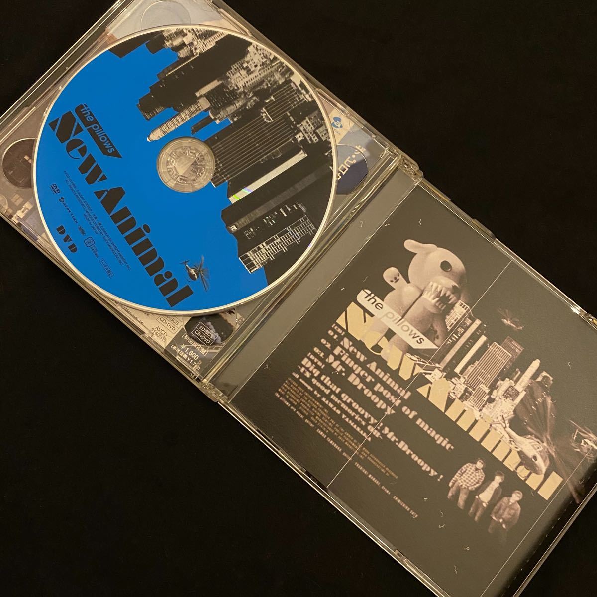 ザ・ピロウズ New Animal 初回限定CD 特典DVD 帯付き