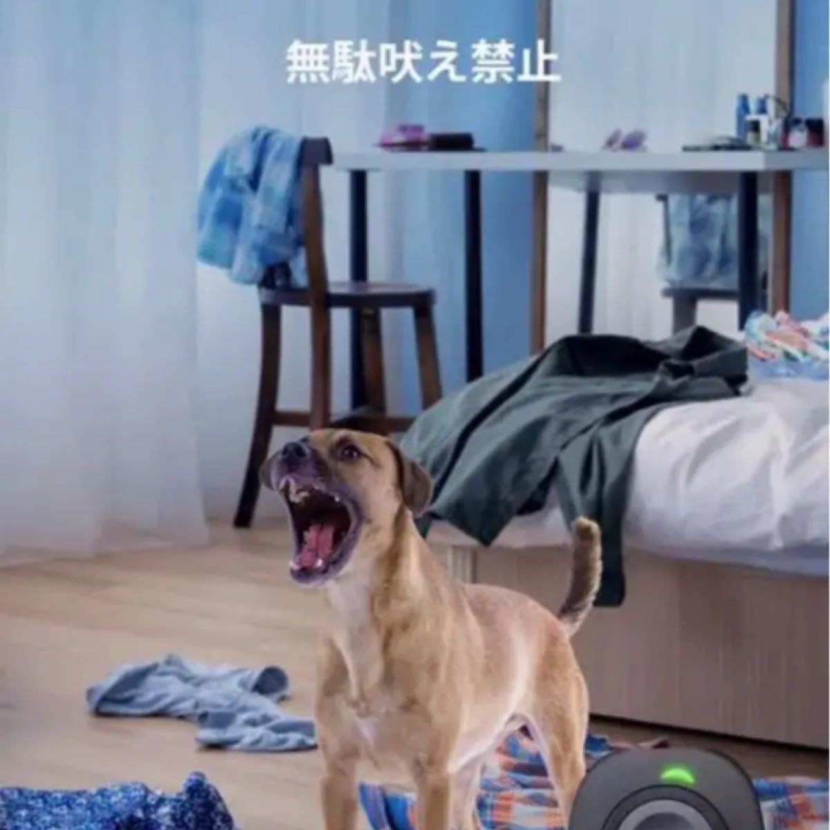 Paypayフリマ 犬 無駄吠え防止グッズ 吠え防止 超音波式 Paypayフリマ 犬 無駄吠え防止グッズ 吠え防止 超音波式