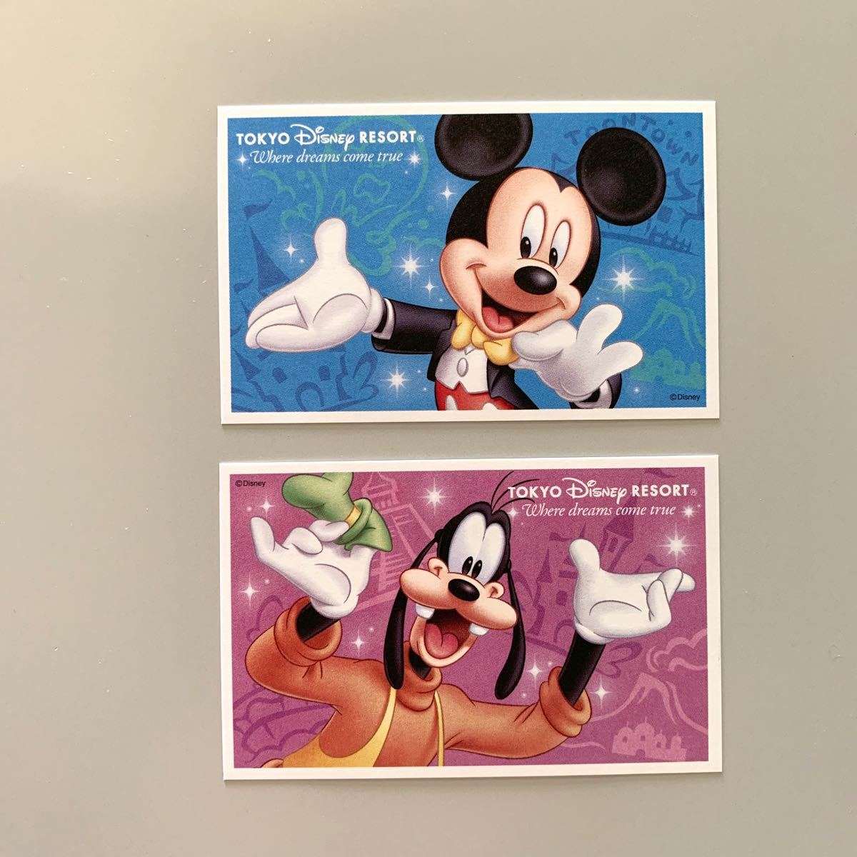 Paypayフリマ ディズニーチケット 大人2枚 ディズニーペアチケット Paypayフリマ ディズニーチケット 大人2枚 ディズニーペアチケット