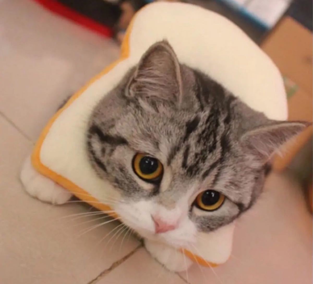 猫用保護襟 トースト パン型 猫用おもちゃ ペット 傷舐め防止 ネックリング