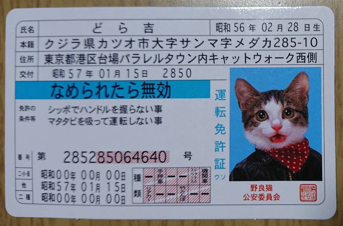 ヤフオク! - なめ猫 免許証カード どら吉(東京都港区台場パラレルタウン