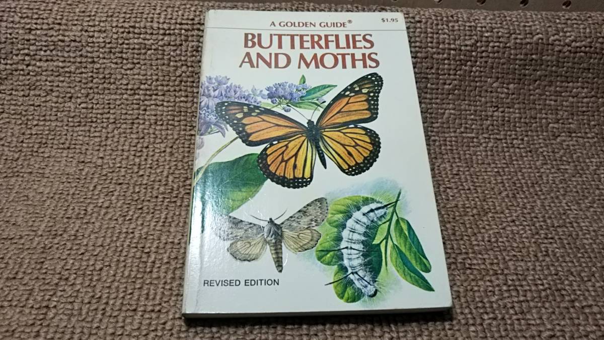 u4#Guide to Butterflies and Moths/ бабочка .. к гид 