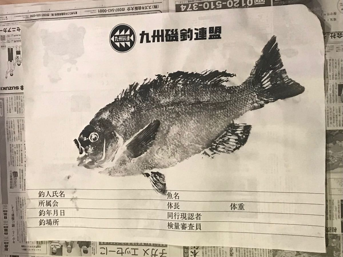 魚拓【メジナ49センチ】