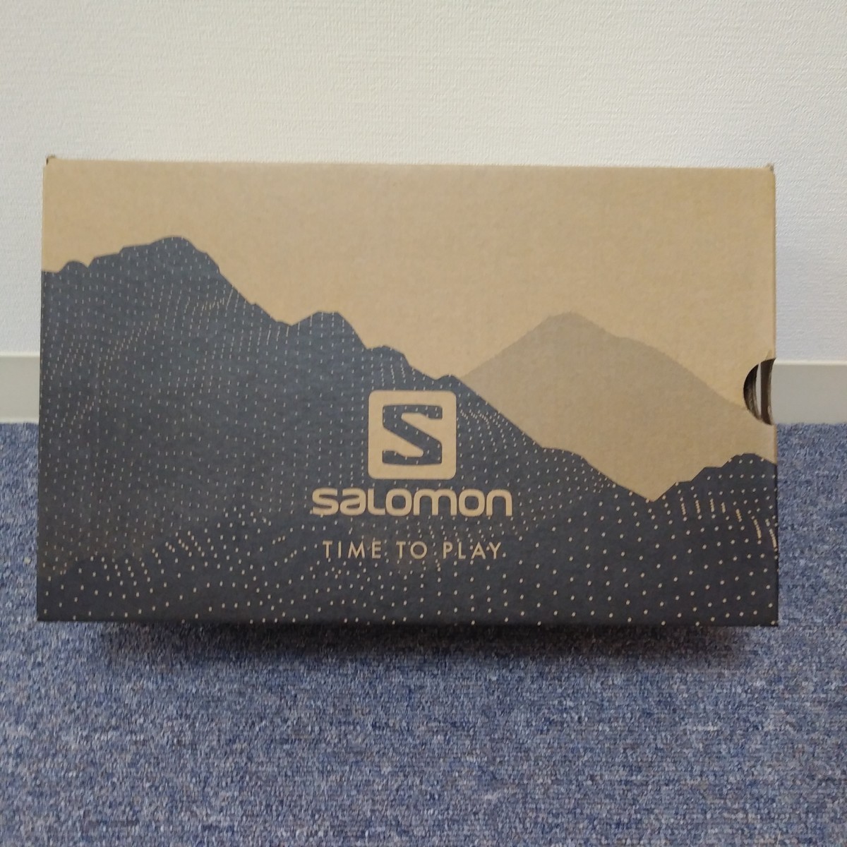 SALOMON サロモン　メンズ　ランニングシューズ　28,0cm