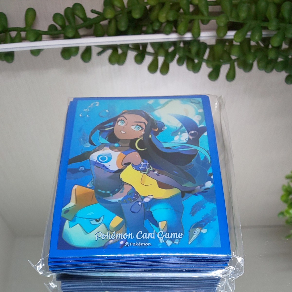 人気の贈り物が 新品 未使用 ポケモンカード デッキシールド ルリナ ポケモンカードゲーム Dieaundrucka At Dieaundrucka At