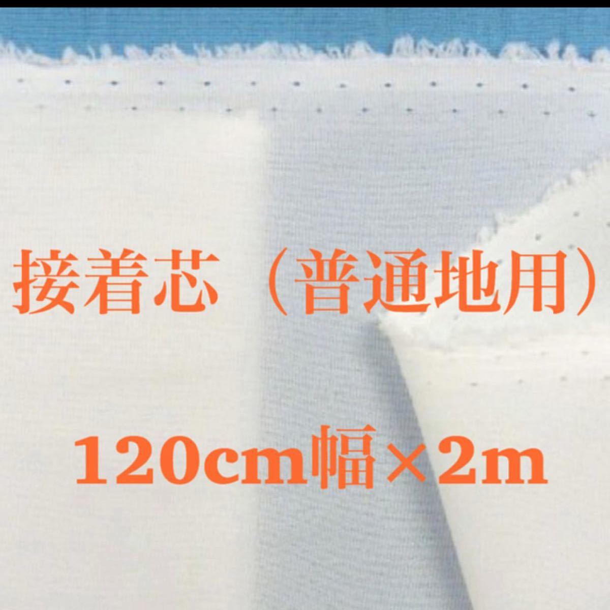 接着芯（普通地用）　120センチ×2メートル