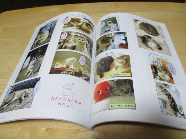 [ кошка ..Vol.24 зима номер ] сотрудничество журнал ваш кошка . gravure debut кошка ...1 месяц номер больше .* стоимость доставки 135 иен 
