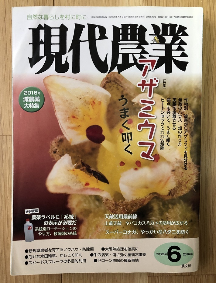現代農業 16年6月号 減農薬特集 アザミウマうまく叩く 中古 のヤフオク落札情報 現代農業 16年6月号 減農薬特集 アザミウマうまく叩く 中古 のヤフオク落札情報