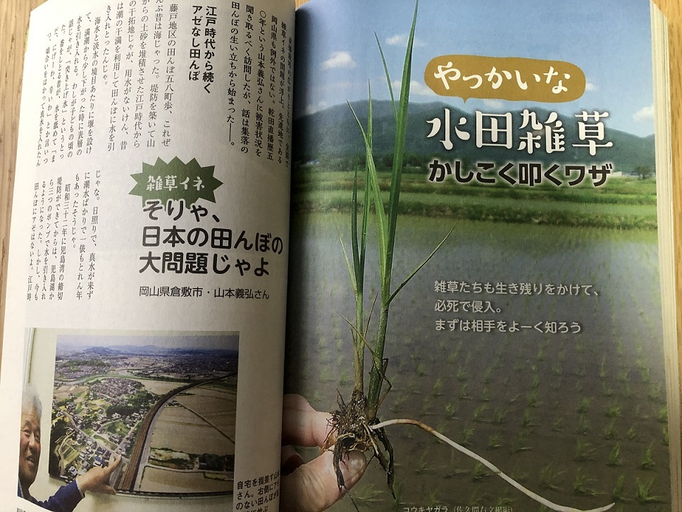 現代農業 16年6月号 減農薬特集 アザミウマうまく叩く 中古 のヤフオク落札情報 現代農業 16年6月号 減農薬特集 アザミウマうまく叩く 中古 のヤフオク落札情報