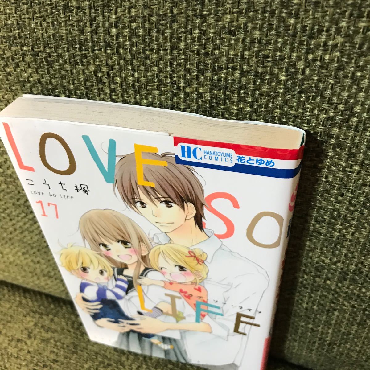 Paypayフリマ Love So Life 17 最終巻