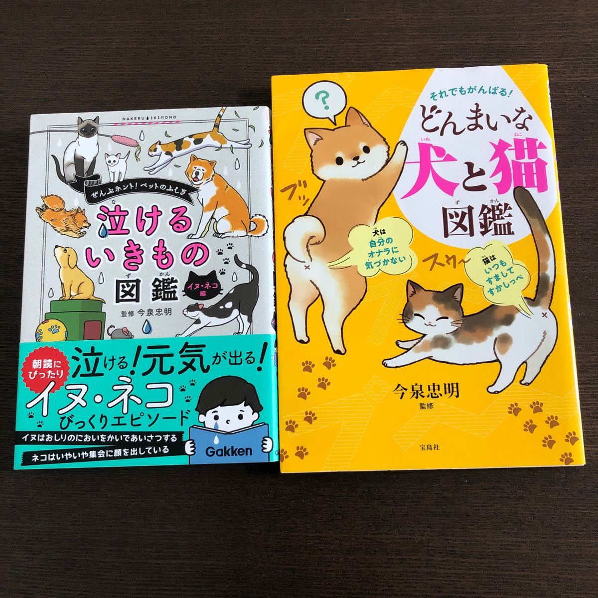 Paypayフリマ 1 17まで それでもがんばる どんまいな犬と猫図鑑 泣けるいきもの図鑑 イヌ ネコ編 2冊セット Paypayフリマ 1 17まで それでもがんばる どんまいな犬と猫図鑑 泣けるいきもの図鑑 イヌ ネコ編 2冊セット