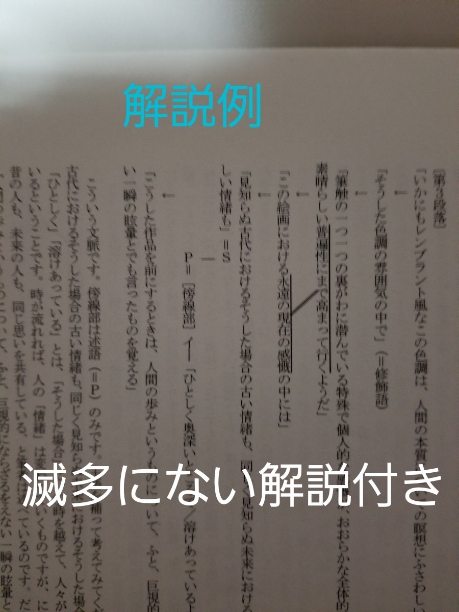 売約専用 林修先生 東大現代文解答例 採点基準と詳細解説 売約専用 林修先生 東大現代文解答例 採点基準と詳細解説