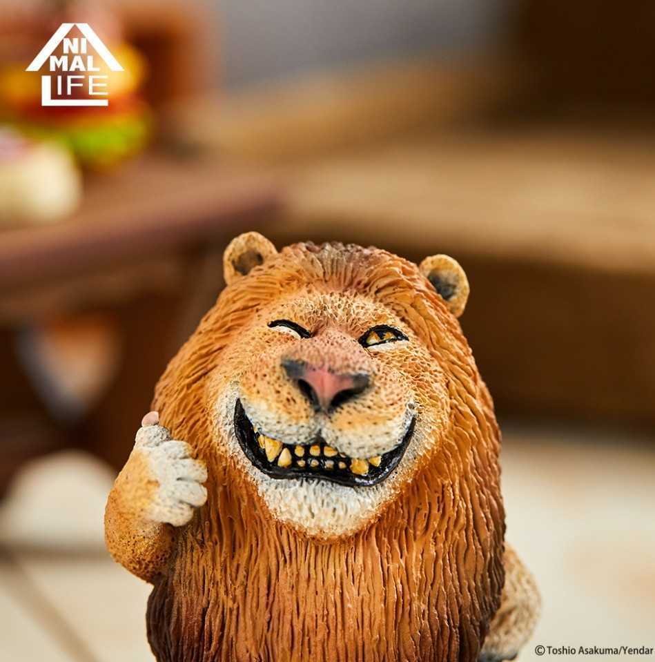 ヤフオク 朝隈俊男 ライオン ハイポーズ 猫科動物 動物フ ヤフオク 朝隈俊男 ライオン ハイポーズ 猫科動物 動物フ