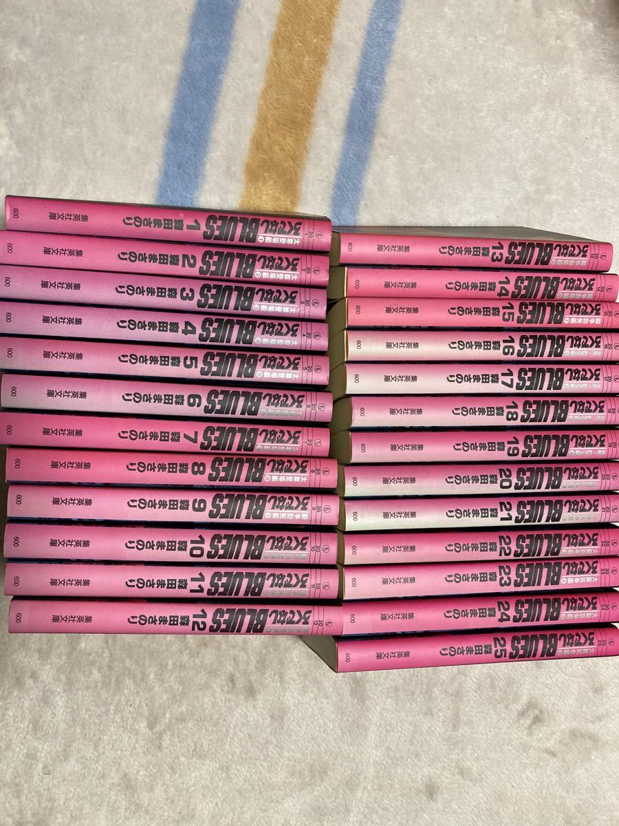 Paypayフリマ ろくでなしblues 文庫本全巻セット1 25 Paypayフリマ ろくでなしblues 文庫本全巻セット1 25
