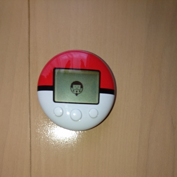 Paypayフリマ Dsソフト ポケットモンスター ハートゴールド ポケウォーカー Paypayフリマ Dsソフト ポケットモンスター ハートゴールド ポケウォーカー