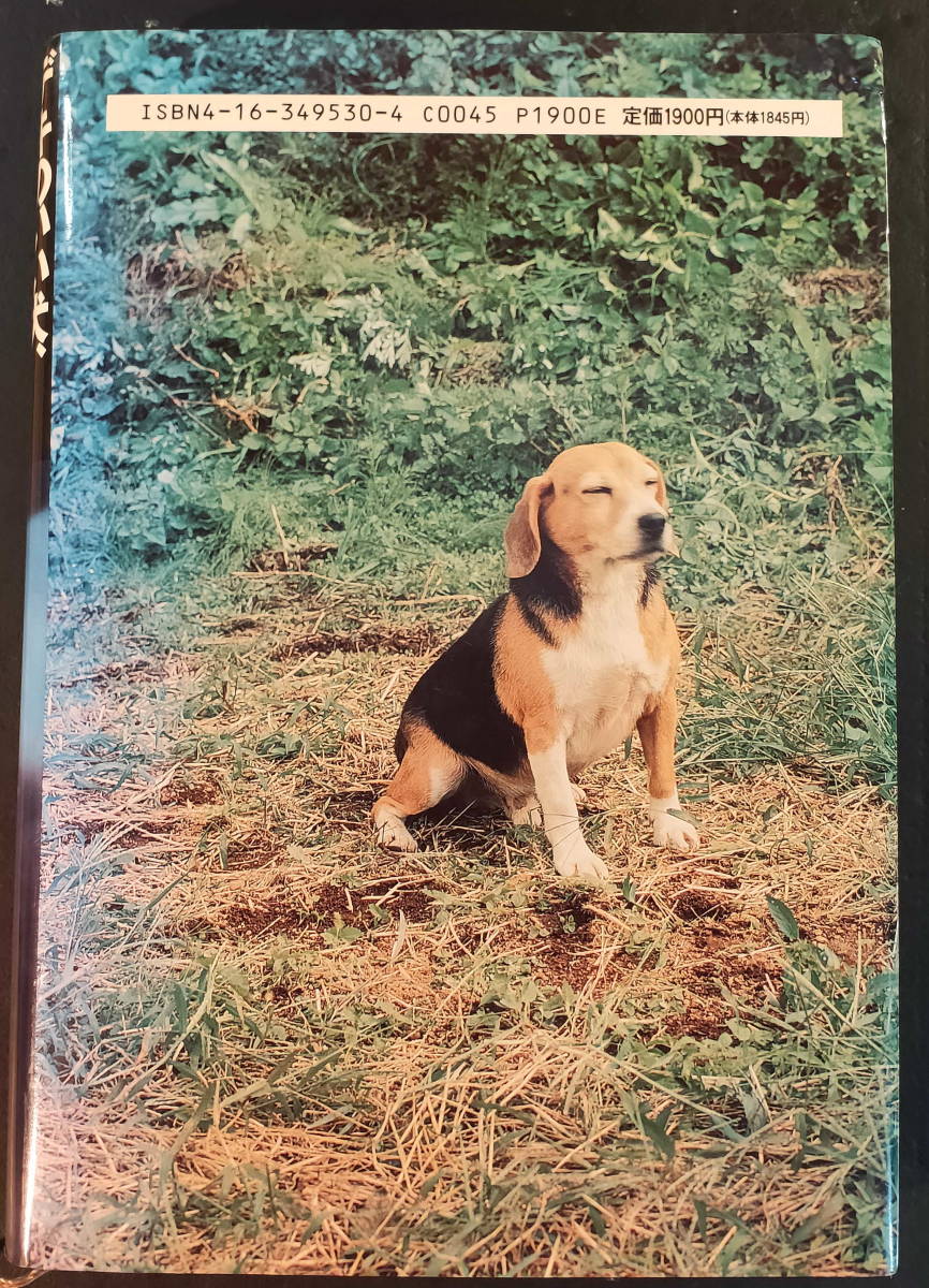 デキのいい犬、悪い犬　と　犬のカタログ2004年_画像2