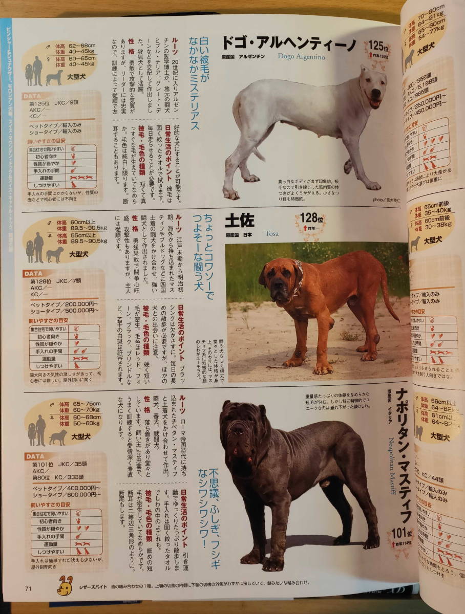 デキのいい犬、悪い犬　と　犬のカタログ2004年_画像8