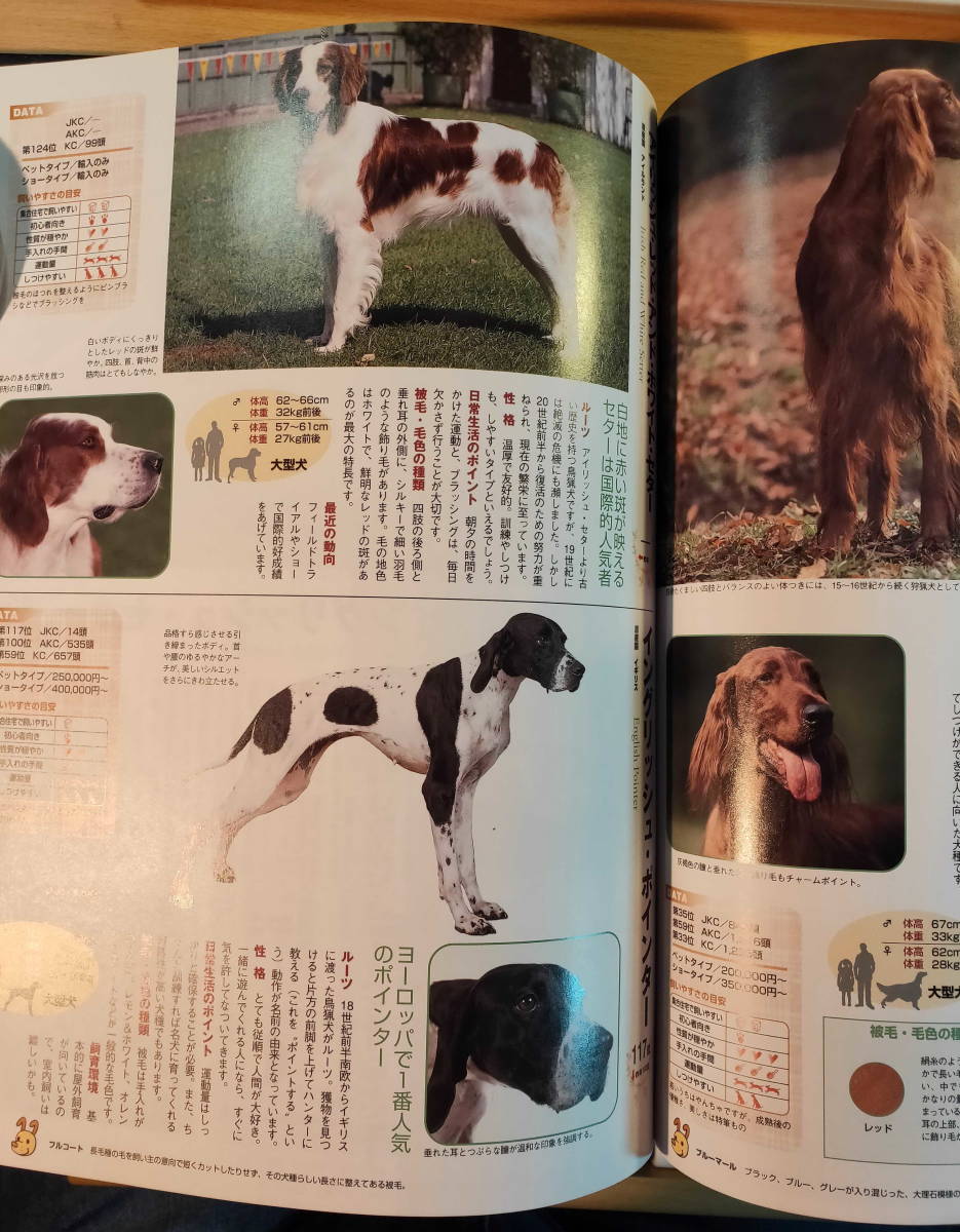 デキのいい犬、悪い犬　と　犬のカタログ2004年_画像10