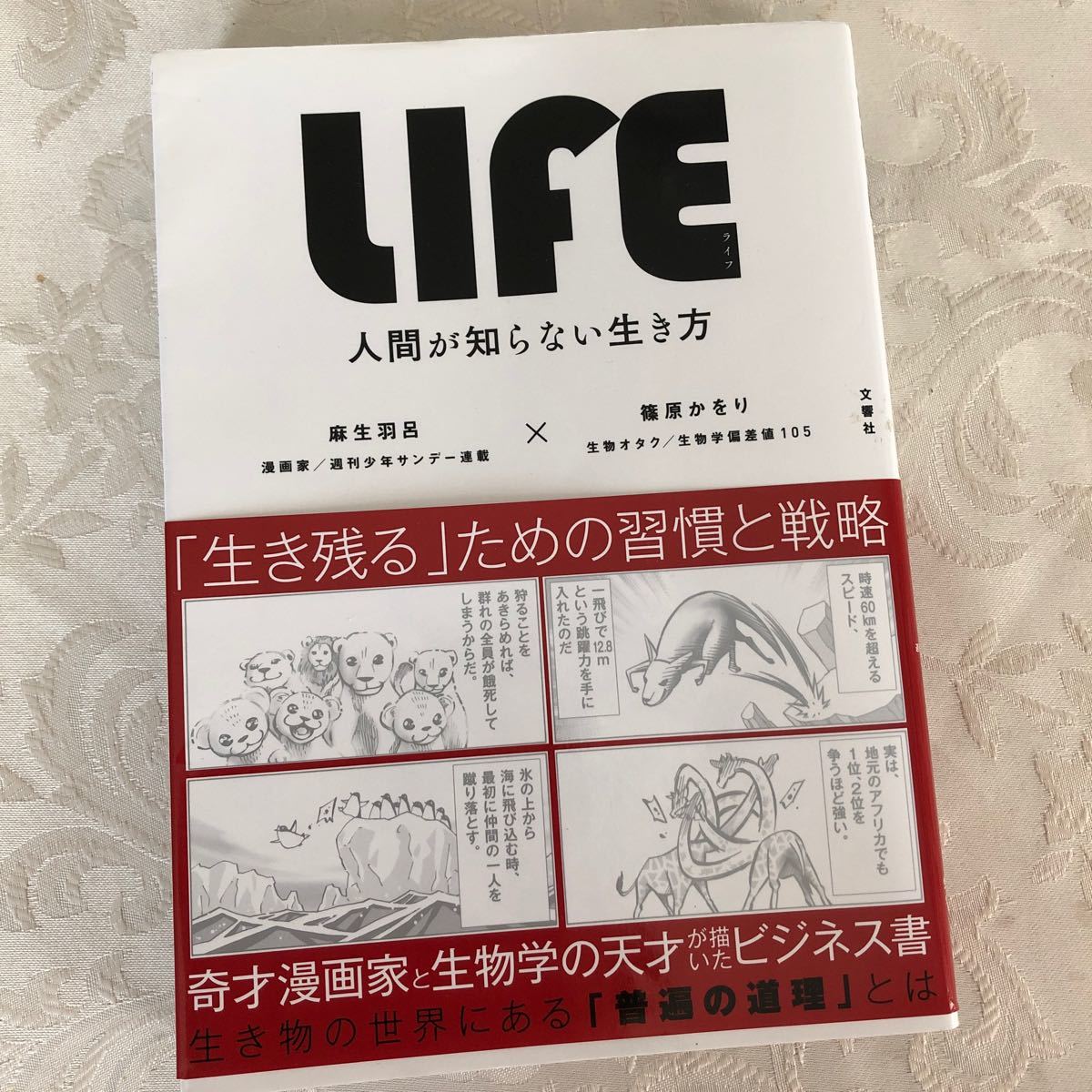 ＬＩＦＥ人間が知らない生き方