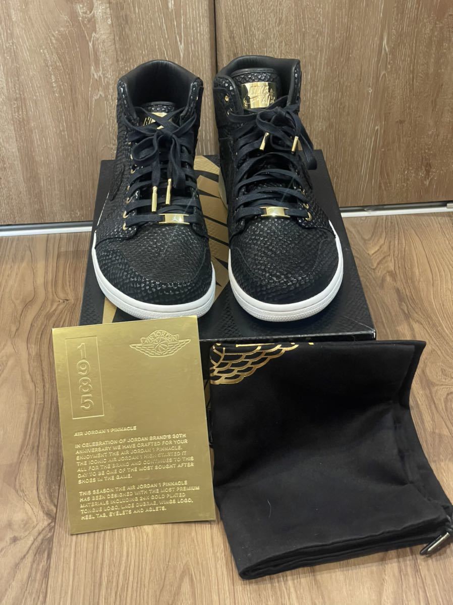 新版 1 JORDAN AIR PINNACLE jordan1 jordan ジョーダン ピナクル