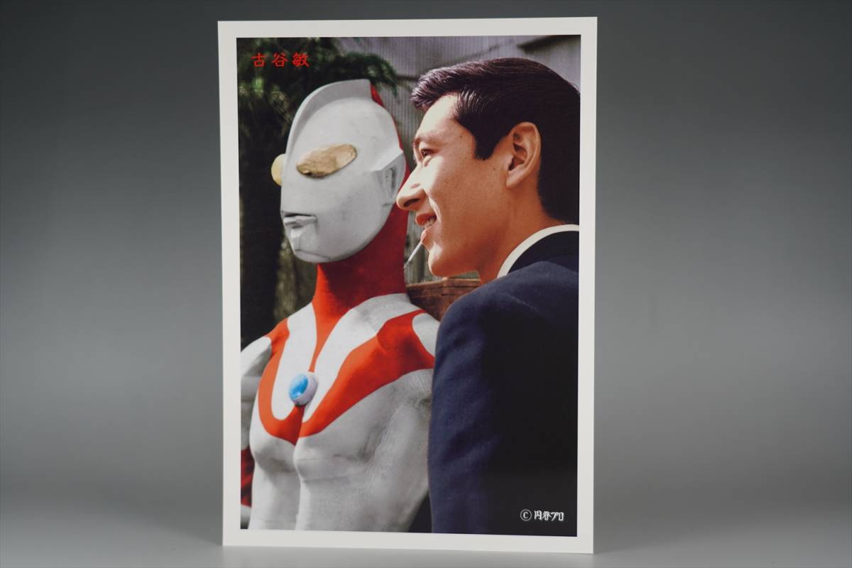 18×26cm WF ワンフェス イベント限定品 M1号 ウルトラマン 古谷 18×26cm WF ワンフェス イベント限定品 M1号 ウルトラマン 古谷