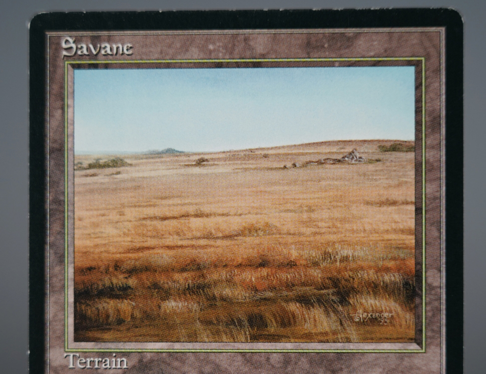 MTG 超希少 レアカード フランス語 版 3ED リバイズド 黒枠 Savannah サバンナ savane デュアルランド 土地 MAGIC The Gathering 美品 即決_画像2