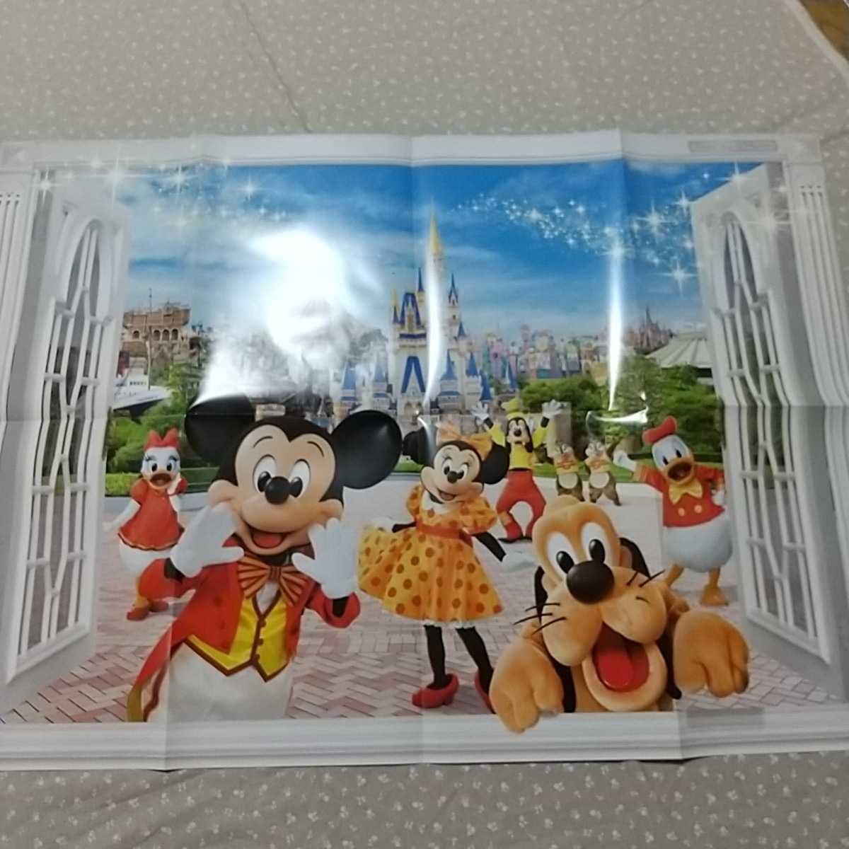 ヤフオク Tdr 東京ディズニーリゾート ファンダフル ディ