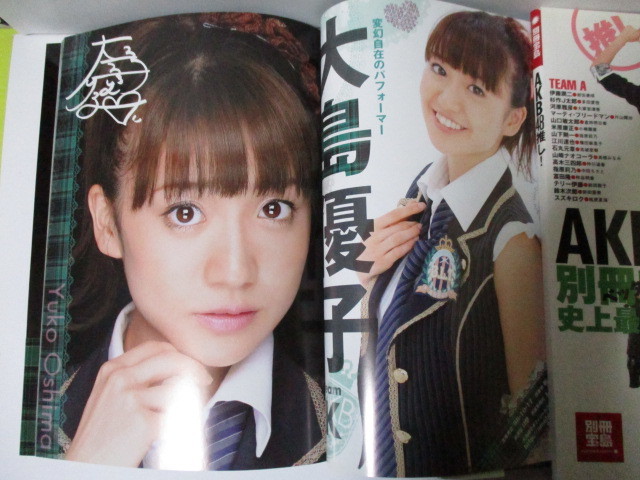 ★[別冊宝島]★「AKB48推し！」、AKB48 VISUAL BOOK 2010 featuring team K　計2冊、クリックポスト１８５円_画像6