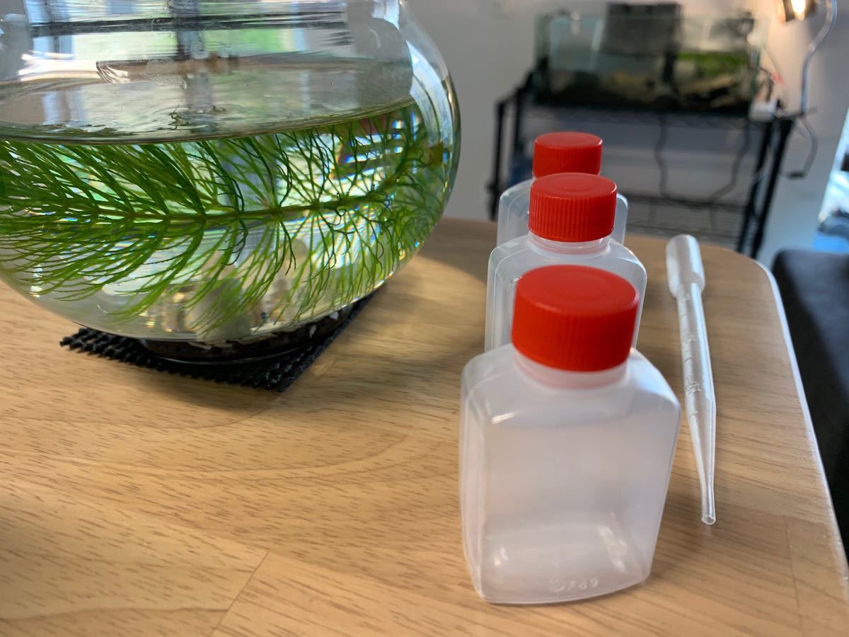 Paypayフリマ ゾウリムシ90ml めだか グッピー ベタ 金魚 の稚魚 に最適 Paypayフリマ ゾウリムシ90ml めだか グッピー ベタ 金魚 の稚魚 に最適