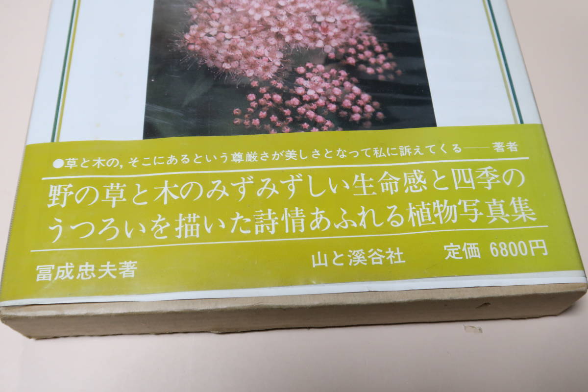 日本の野生植物・木本2冊・シダ・定価合計55500円・草本全3巻の姉妹編/日本の野生植物・草本2冊・単子葉類・合弁花類・定価合計25000円の画像8