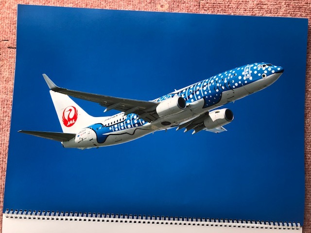 JAL FLEET CALENDAR 2021_画像5