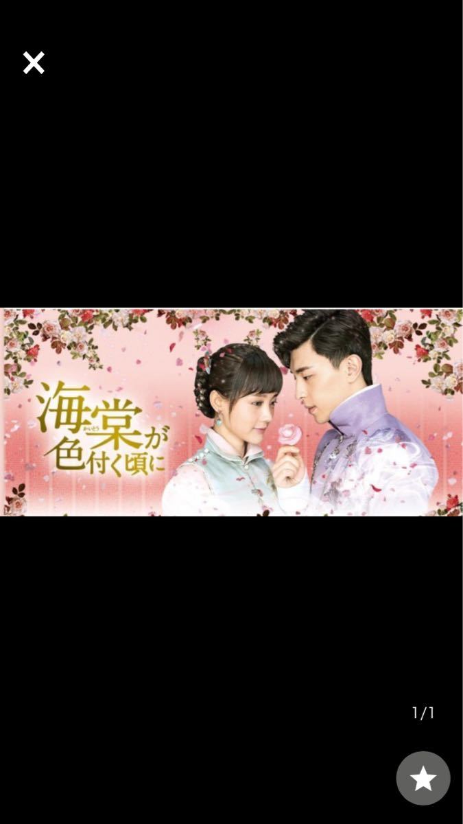 【Blu-ray】中国ドラマ　海棠が色付く頃に　全話収録 ブルーレイ 華流 ＢＤ