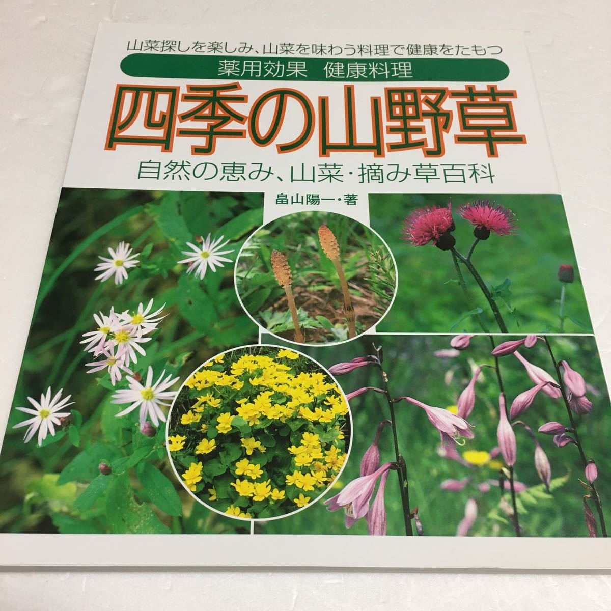 即決ゆうメール便のみ送料無料山菜探しを楽しみ、山菜を味わう料理で
