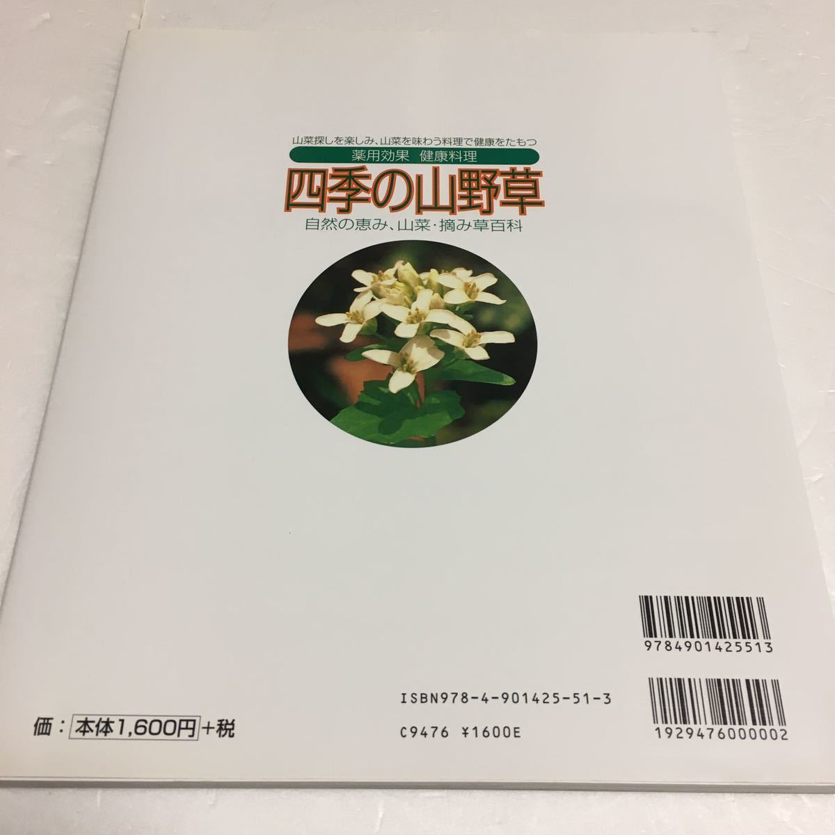 即決ゆうメール便のみ送料無料山菜探しを楽しみ、山菜を味わう料理で