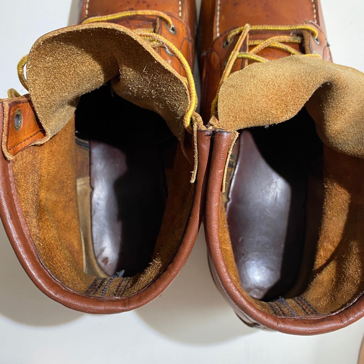 犬刻印 レッドウィング(REDWING) 875 アイリッシュセッター 犬刻印 レッドウィング(REDWING) 875 アイリッシュセッター