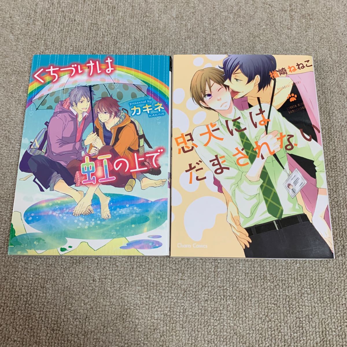 くちづけは虹の上で　忠犬にはだまされない　2冊セット