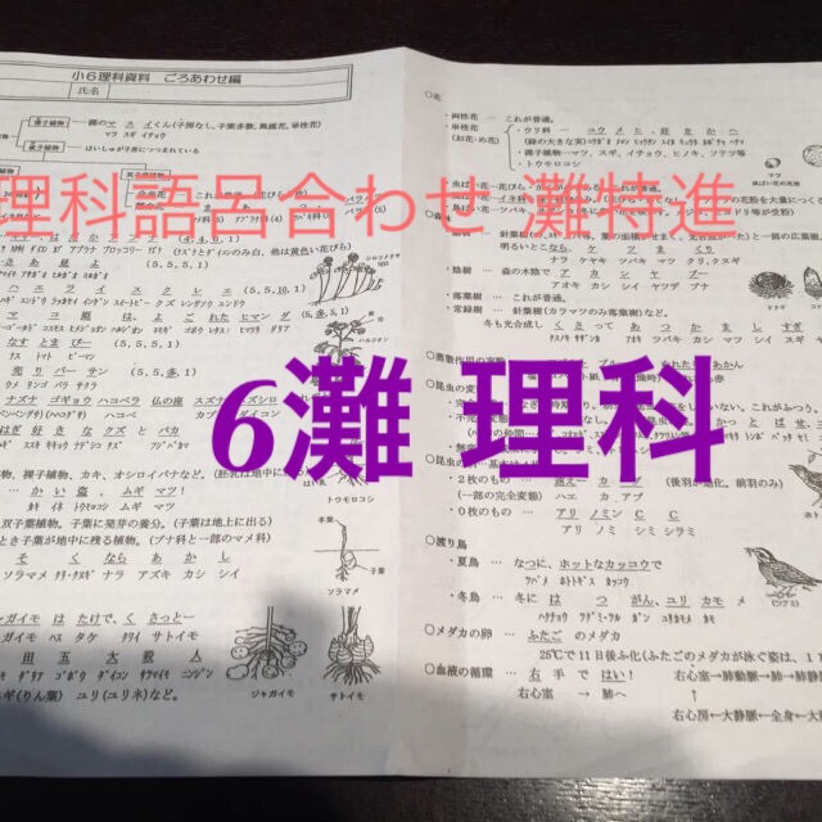 Paypayフリマ 日能研6灘 理科入試最強3点セット まとめシリーズ おススメ Paypayフリマ 日能研6灘 理科入試最強3点セット まとめシリーズ おススメ
