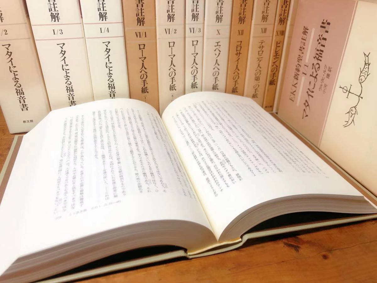 絶版!! EKK新約聖書註解 13巻揃 検:マタイによる福音書/ローマ人への手紙/エフェソ人への手紙/ヨハネの第一の手紙/ペトロの第一の手紙_画像5