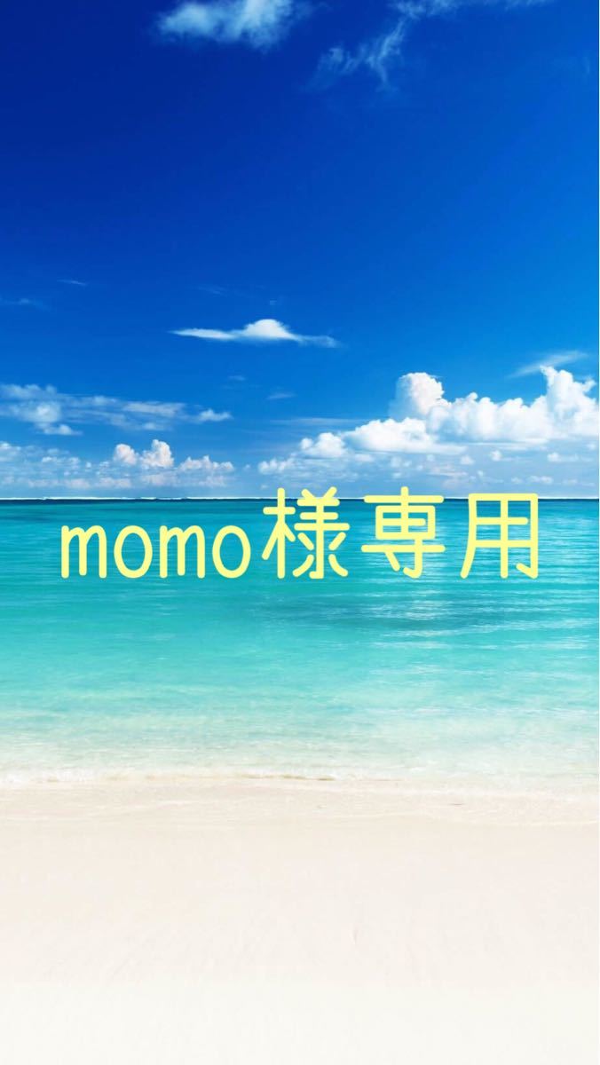 momo様専用　ディオール Dior マキシマイザー