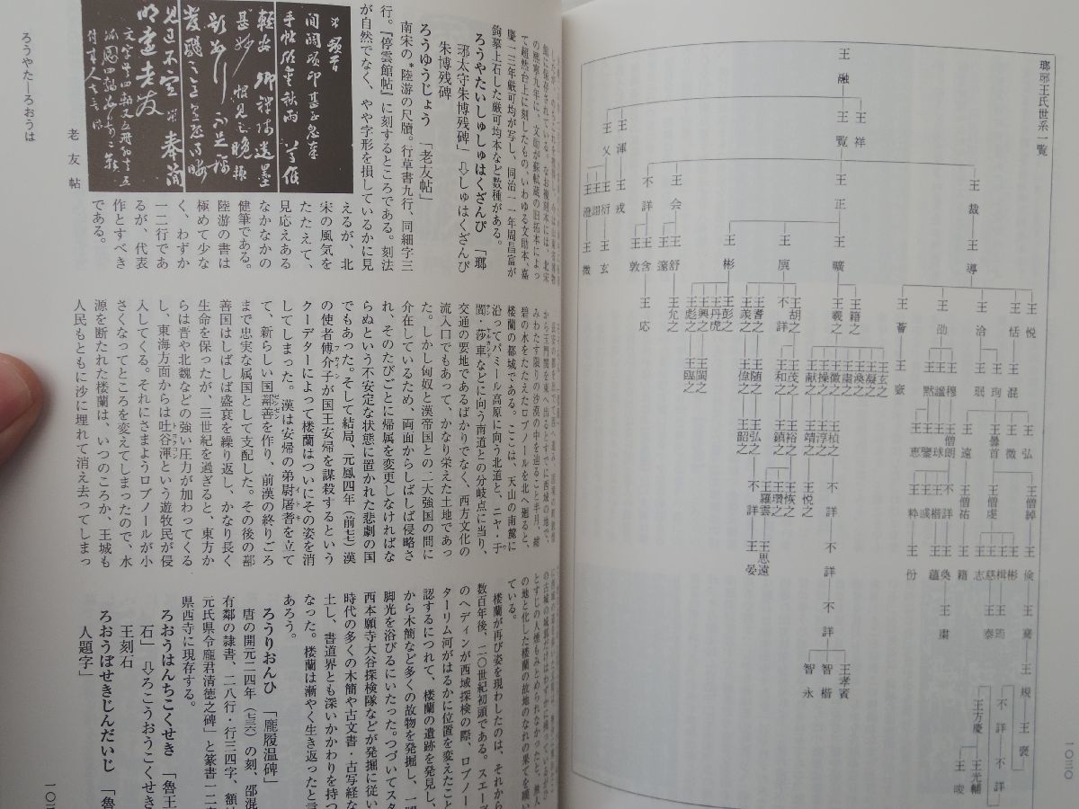 0029482 中国書道辞典 中西慶爾・編 木耳社 2005 定価20,000円_画像8