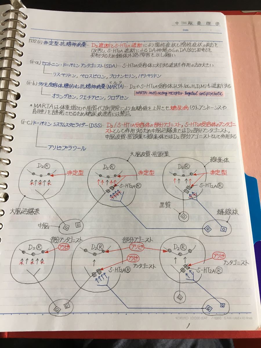 臨床心理士、公認心理師国家試験、定期試験対策シリーズ【中枢神経疾患】まとめノート