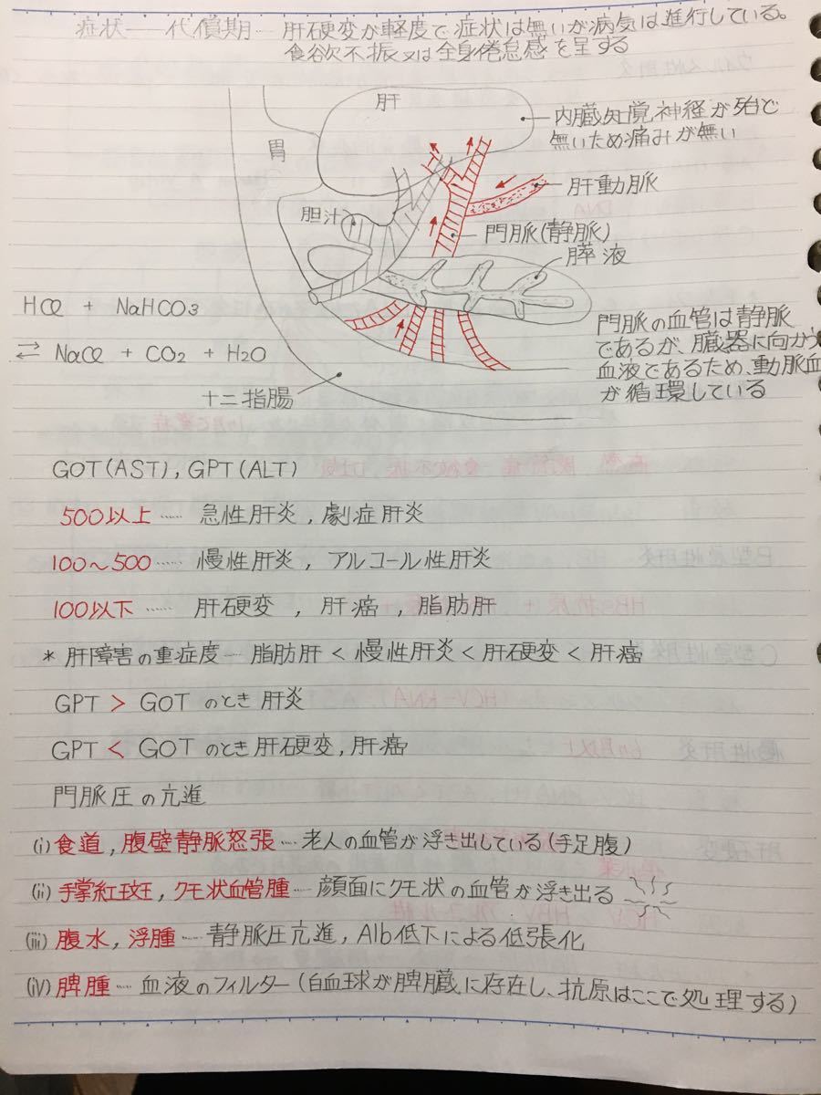 医療系学科定期試験、国家試験対策シリーズ【病理学】まとめノート