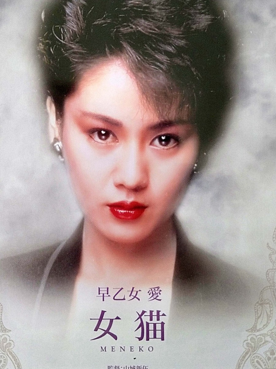Paypayフリマ 早乙女愛 女猫 Dvd 新品未開封 Paypayフリマ 早乙女愛 女猫 Dvd 新品未開封