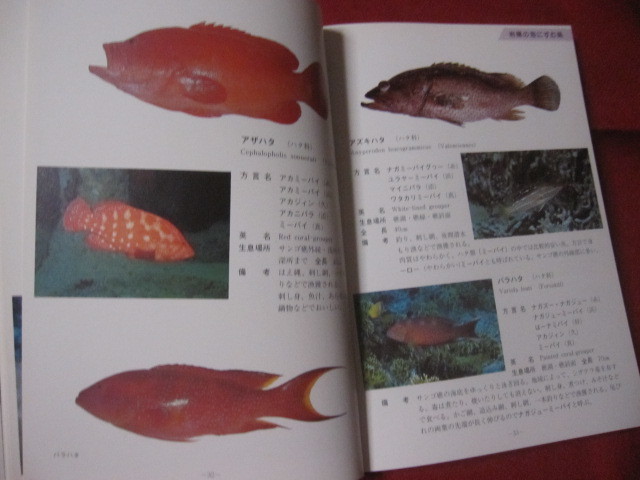 ヤフオク 方言でしらべる 沖縄の魚図鑑 沖縄 琉球 自