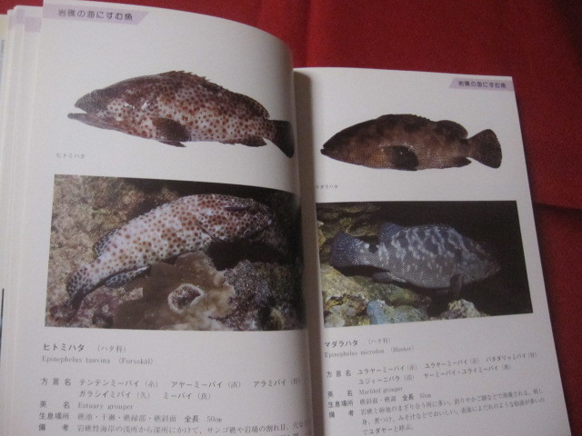 ヤフオク 方言でしらべる 沖縄の魚図鑑 沖縄 琉球 自 ヤフオク 方言でしらべる 沖縄の魚図鑑 沖縄 琉球 自