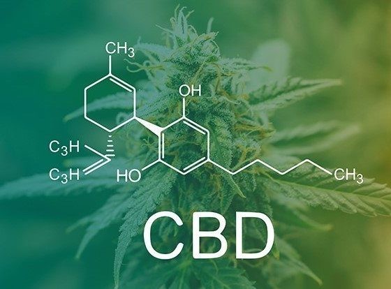 世界的に CBD ワックス 20g フルスペクトラム シャッター クランブル