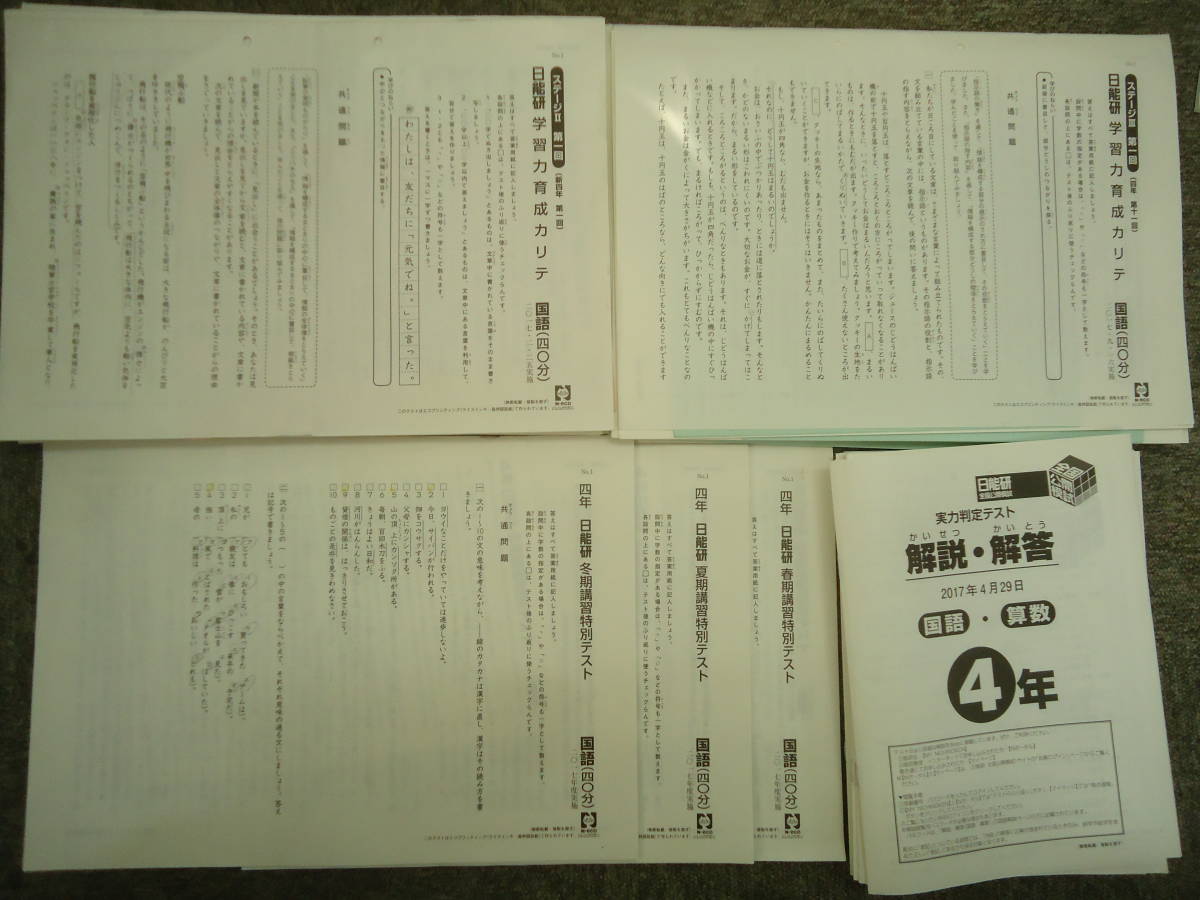 超人気 日能研 4年 小4 全国公開模試7回/学習力育成カリテ19回（国算理