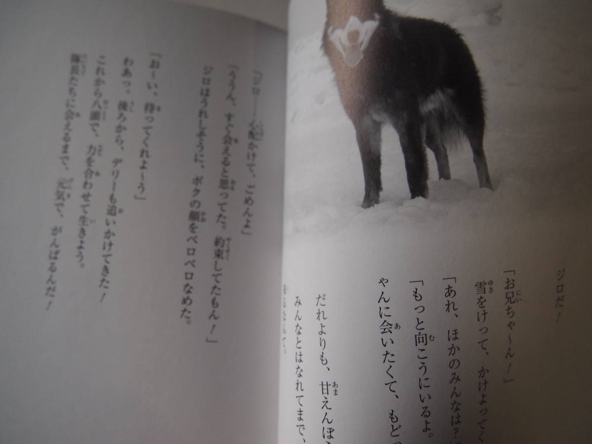 ヤフオク 南極物語 学研 小学生文庫 タロ ジロ 一歩一歩 ヤフオク 南極物語 学研 小学生文庫 タロ ジロ 一歩一歩